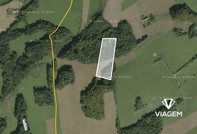 Prodej podílu lesa, Tichá, 6435 m2