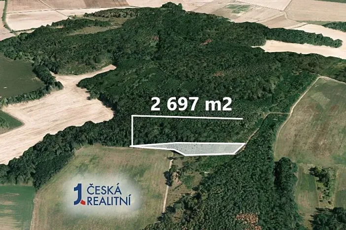 Prodej podílu lesa, Rybníky, 2697 m2