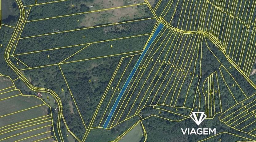 Prodej podílu lesa, Rybníky, 2317 m2