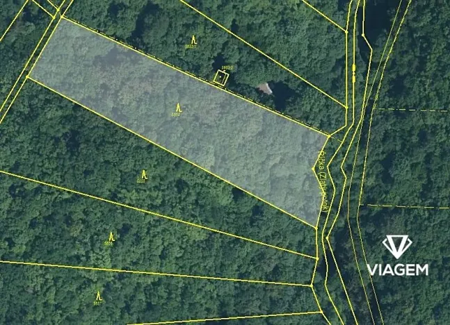 Prodej podílu lesa, Brno, 1092 m2