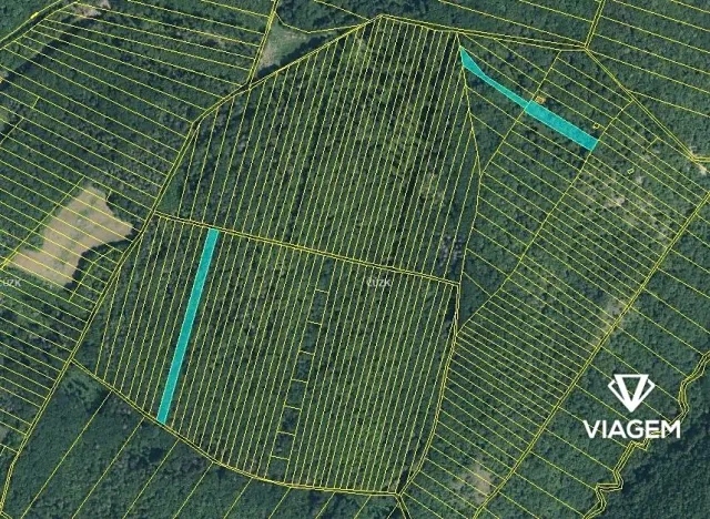 Prodej podílu lesa, Brno, 996 m2