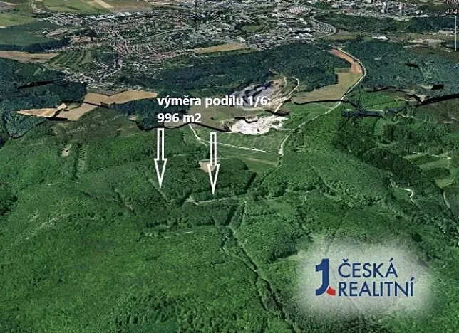 Prodej podílu lesa, Brno, 996 m2