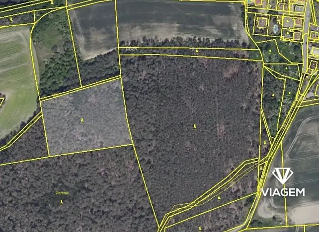 Prodej podílu lesa, Hrdlív, 2102 m2