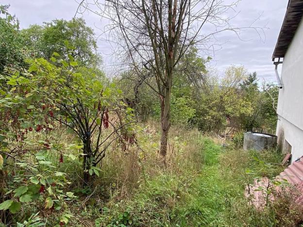 Dražba rodinného domu, Lubenec, Jelení, 164 m2