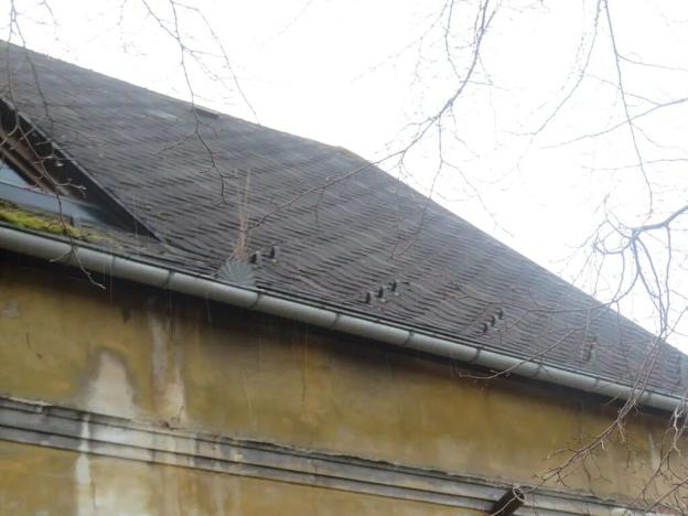 Dražba rodinného domu, Horní Podluží, 10 m2