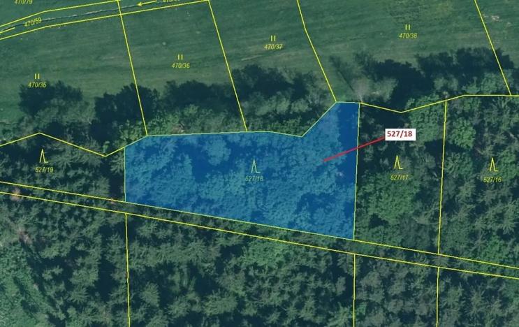 Dražba lesa, Stehlovice, 2071 m2