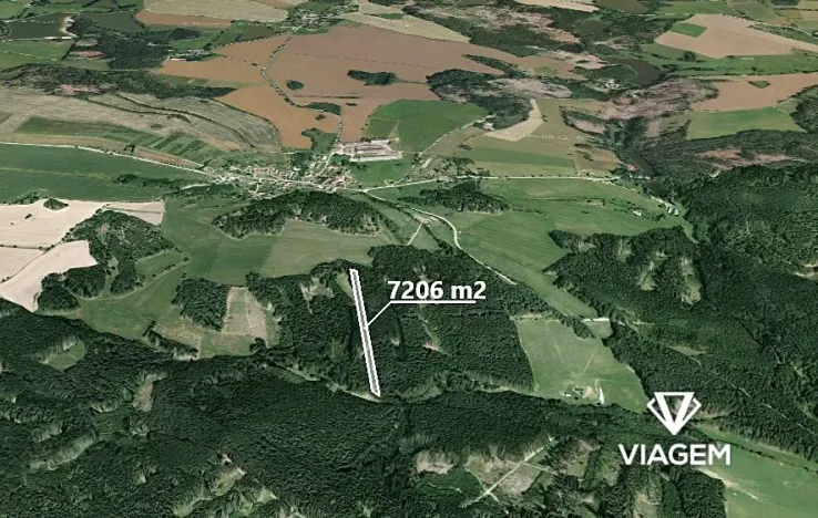 Prodej lesa, Heřmaneč, 7206 m2