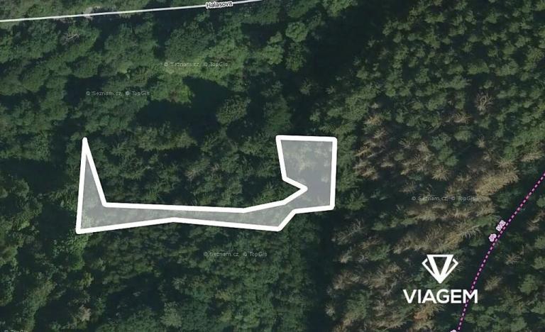 Prodej lesa, Letovice, 1447 m2