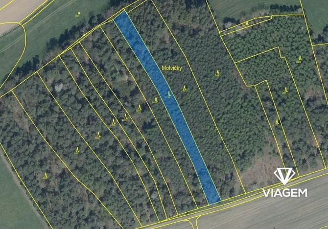 Prodej podílu lesa, Koloveč, 718 m2