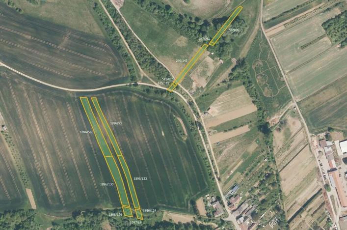 Prodej pole, Jalubí, 7416 m2