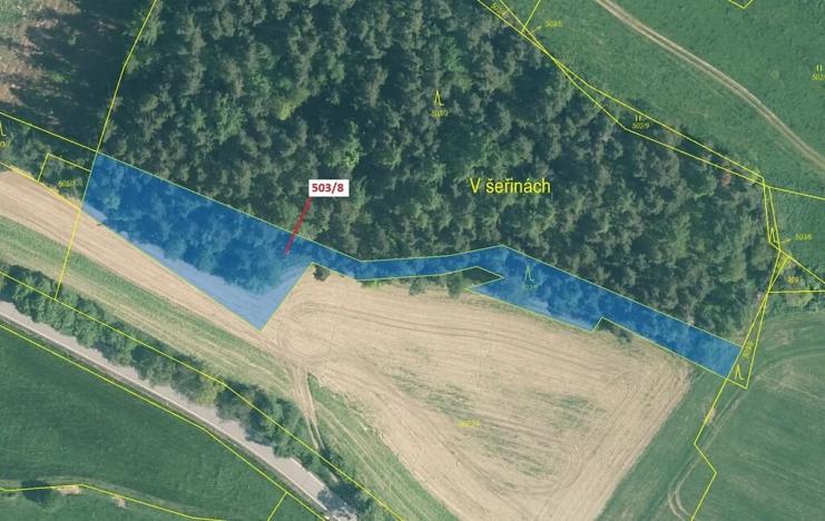 Dražba lesa, Litochovice, 2656 m2