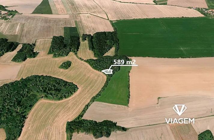 Prodej podílu lesa, Koloveč, 2021 m2