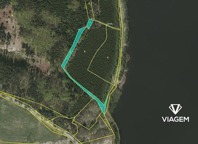 Prodej podílu lesa, Člunek, 899 m2