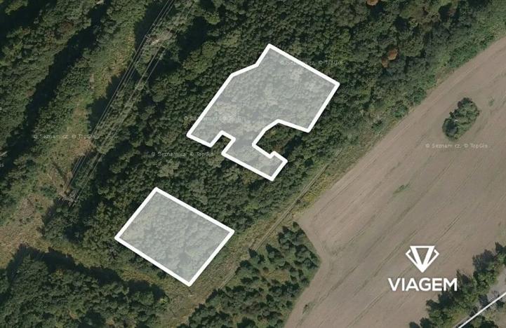 Prodej podílu lesa, Doubrava, 2975 m2