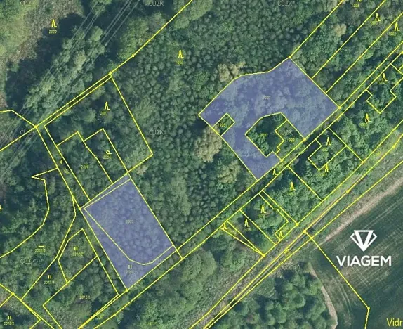 Prodej podílu lesa, Doubrava, 2975 m2