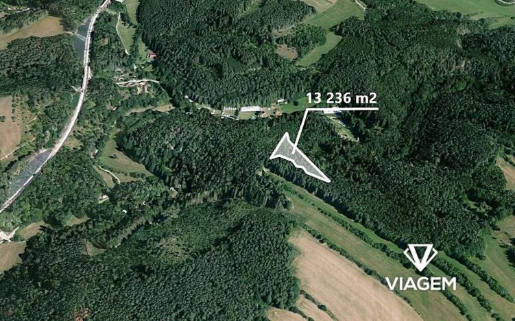 Prodej podílu lesa, Kuřimská Nová Ves, 8824 m2
