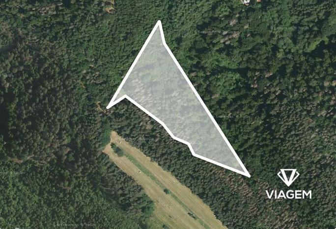 Prodej podílu lesa, Kuřimská Nová Ves, 8824 m2