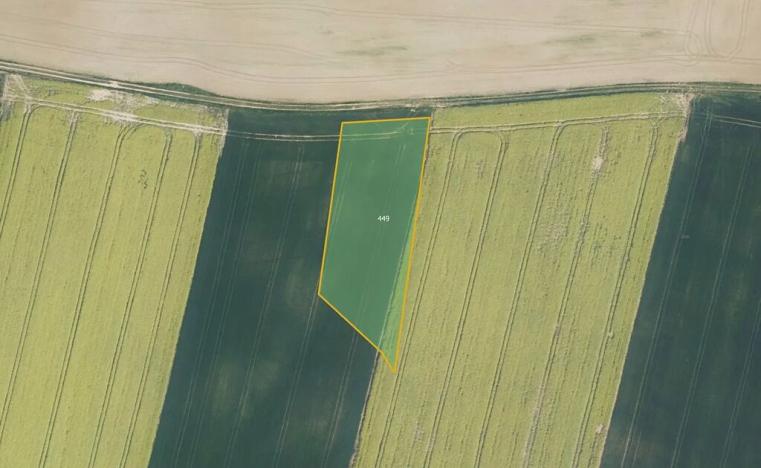 Prodej pole, Karlovice, 4520 m2