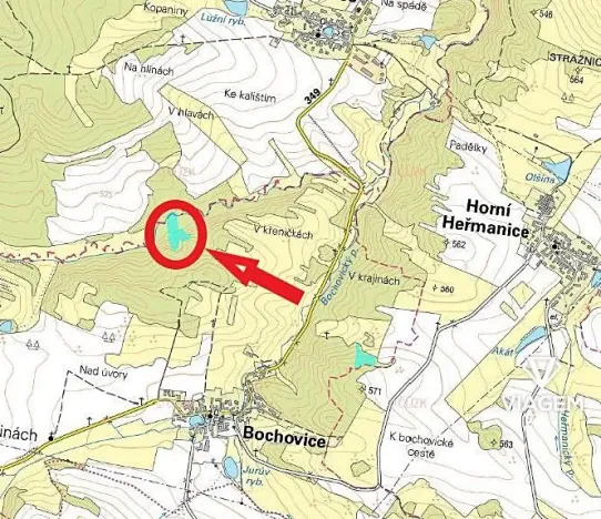 Prodej lesa, Bochovice, 10509 m2