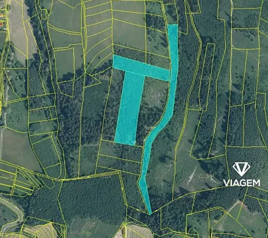 Prodej lesa, Mikulůvka, 28243 m2