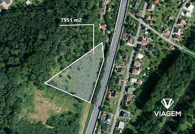 Prodej lesa, Metylovice, 7951 m2