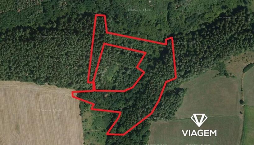 Prodej podílu lesa, Chlum, 2803 m2