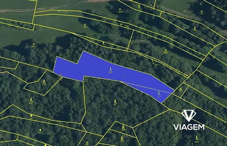 Prodej podílu lesa, Lidečko, 1248 m2