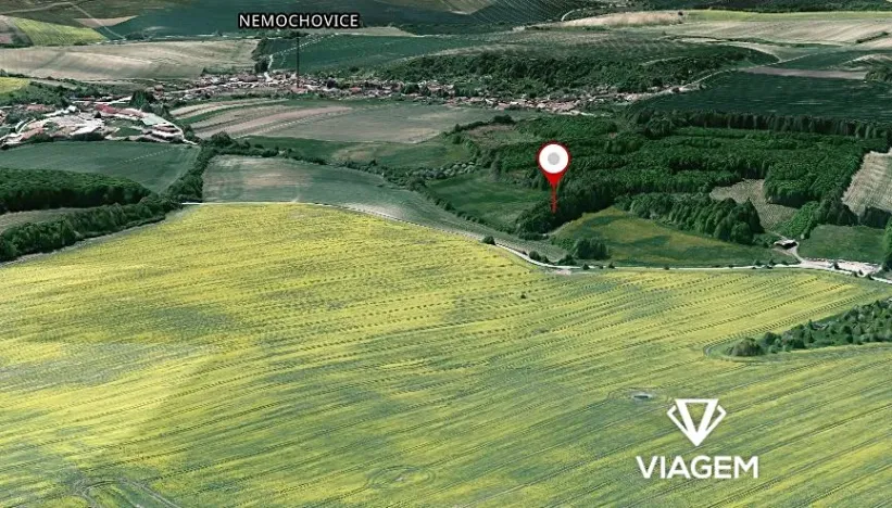 Prodej podílu lesa, Nemochovice, 624 m2