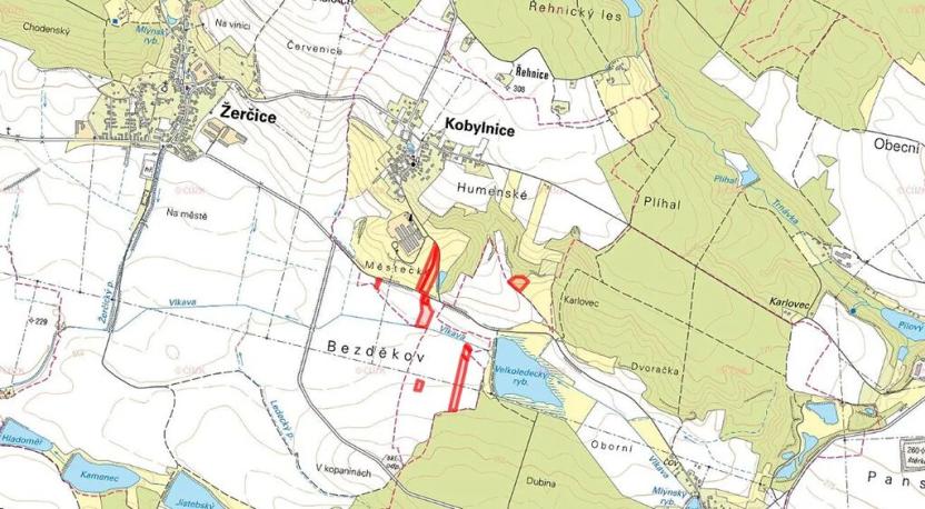 Prodej pole, Kobylnice, 45226 m2