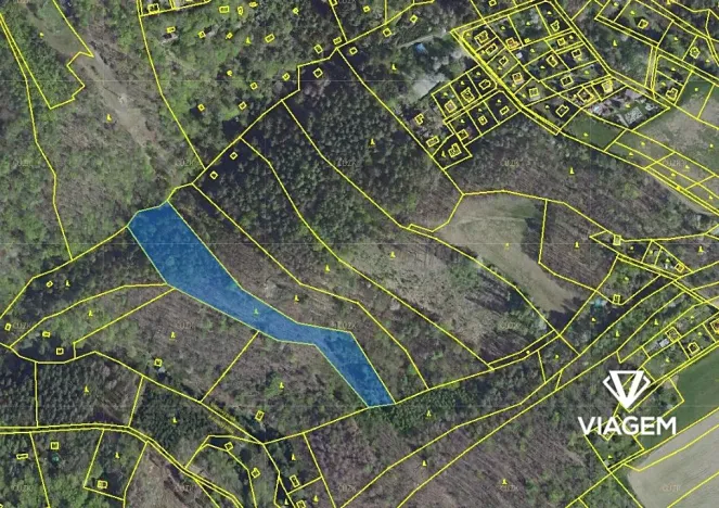 Prodej lesa, Krňany, 8704 m2