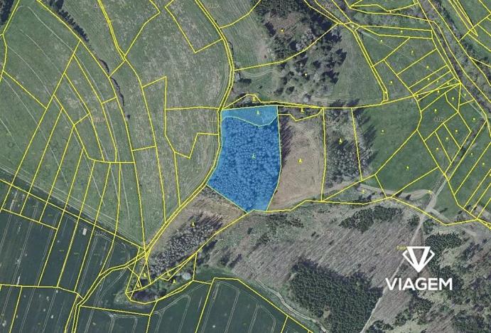 Prodej podílu lesa, Radošovice, 2390 m2