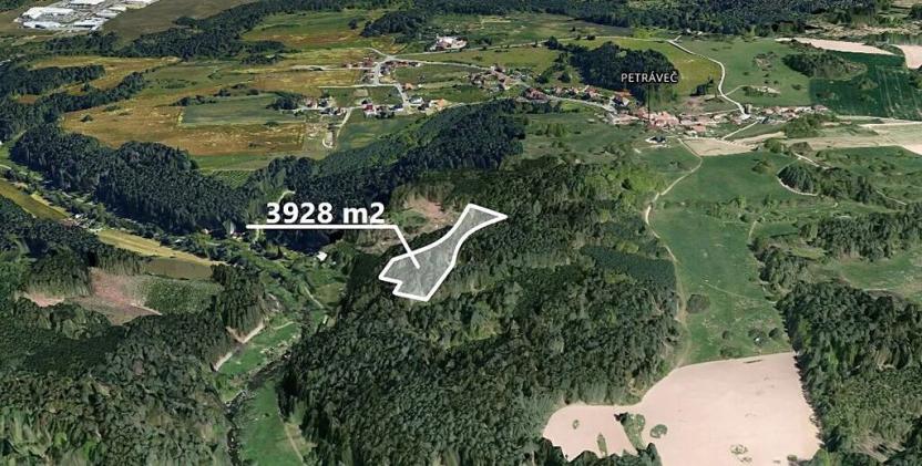 Prodej podílu lesa, Petráveč, 3927 m2