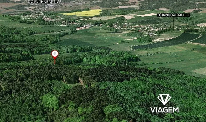 Prodej podílu lesa, Horní Habartice, 2358 m2