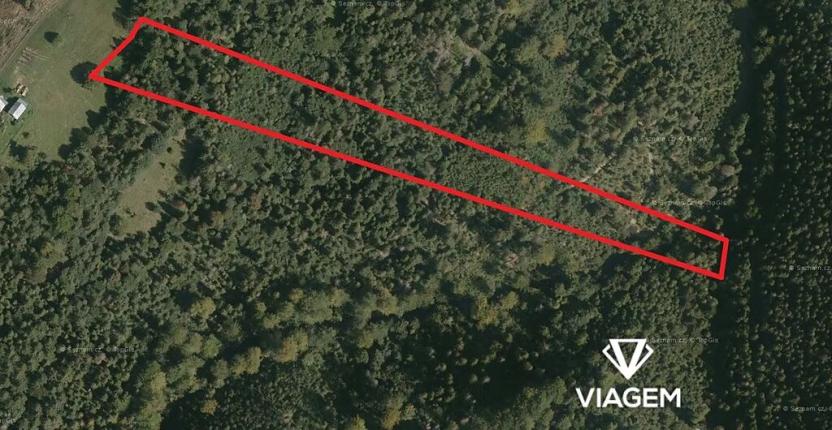 Prodej podílu lesa, Nýdek, 3108 m2