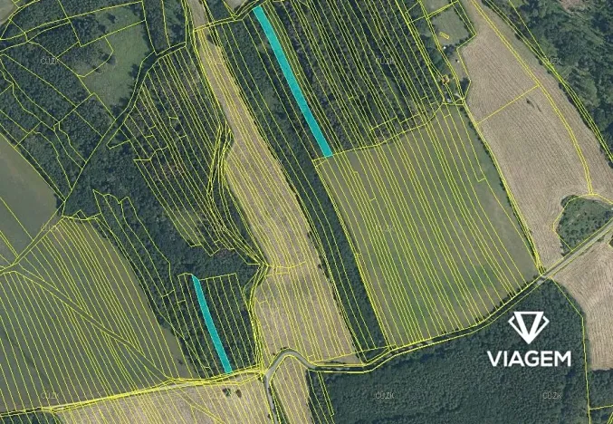 Prodej podílu lesa, Bojkovice, 2789 m2