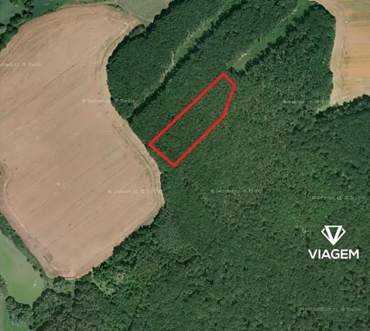 Prodej podílu lesa, Slatiny, 2288 m2