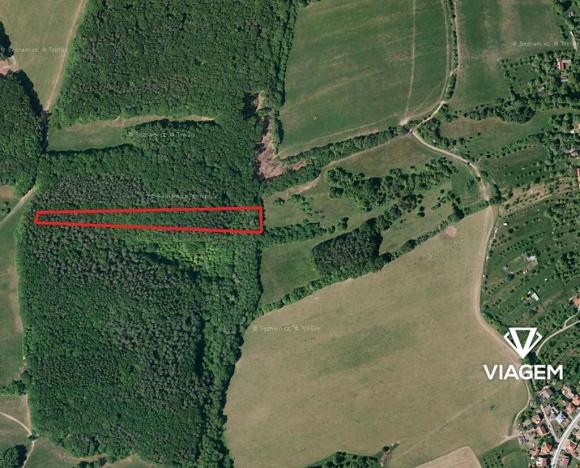 Prodej podílu lesa, Březůvky, 3839 m2