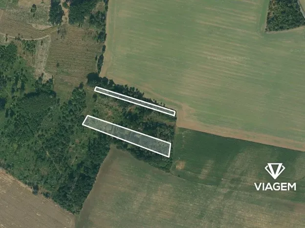 Prodej lesa, Bačice, 8463 m2