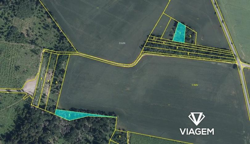 Prodej lesa, Bačice, 8463 m2