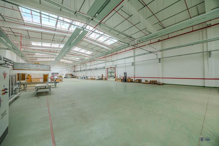 Dražba výrobních prostor, Hranice, Potštátská, 15735 m2