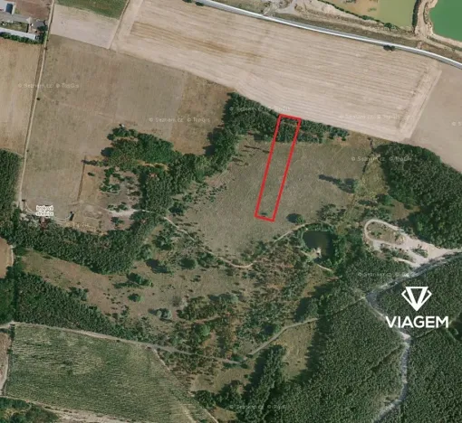 Prodej podílu lesa, Travčice, 1044 m2