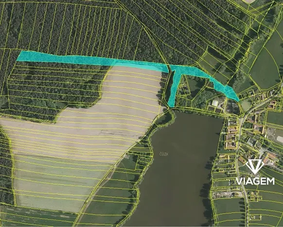 Prodej podílu lesa, Olešnice, 3009 m2