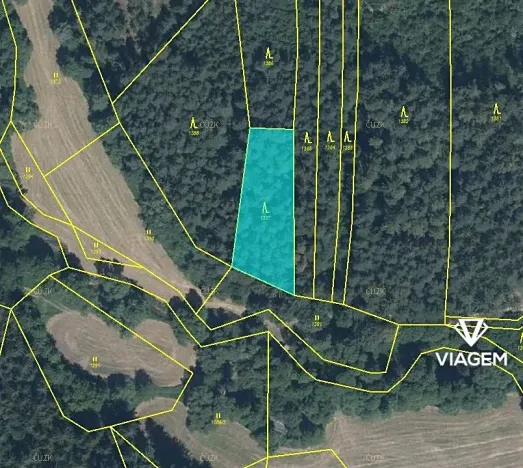 Prodej podílu lesa, Chýstovice, 485 m2