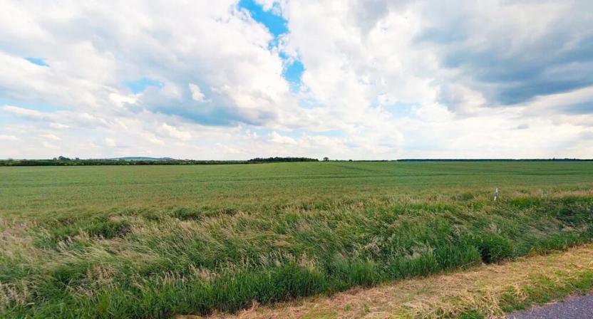 Prodej pole, Kouty, 29924 m2