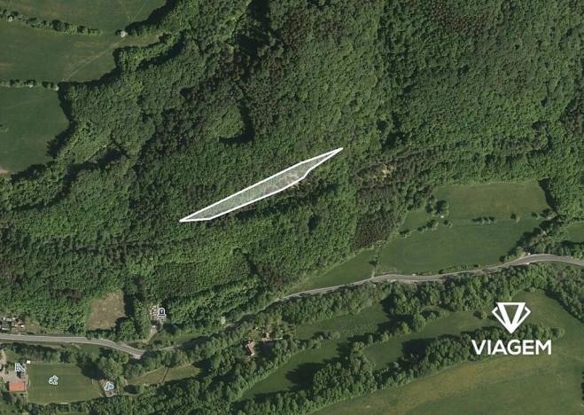 Prodej lesa, Bratřejov, 4091 m2