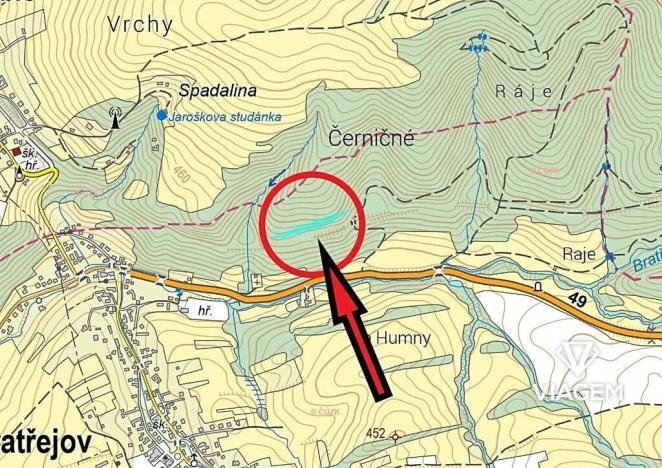 Prodej lesa, Bratřejov, 4091 m2