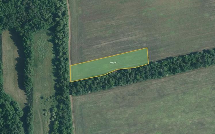 Prodej pole, Medlov, 4953 m2