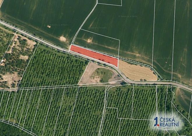 Prodej zahrady, Vinařice, 2575 m2