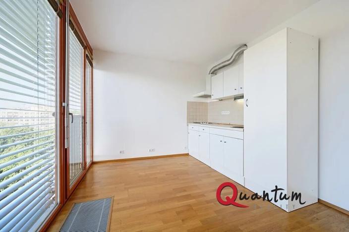 Pronájem bytu 1+kk, Praha - Žižkov, Květinková, 37 m2