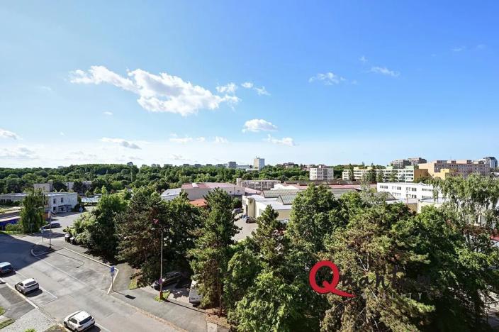 Pronájem bytu 1+kk, Praha - Žižkov, Květinková, 37 m2